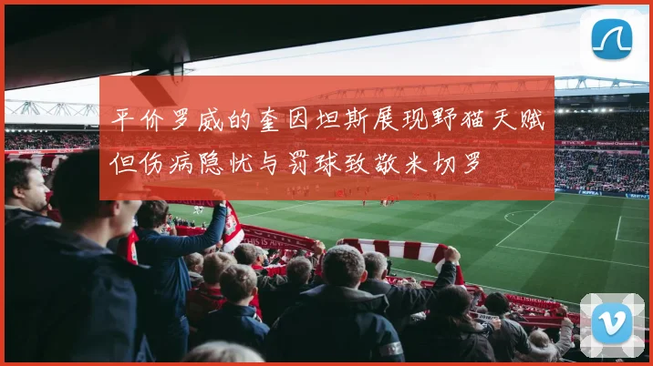 平价罗威的奎因坦斯展现野猫天赋但伤病隐忧与罚球致敬米切罗
